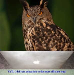 owl-teacher